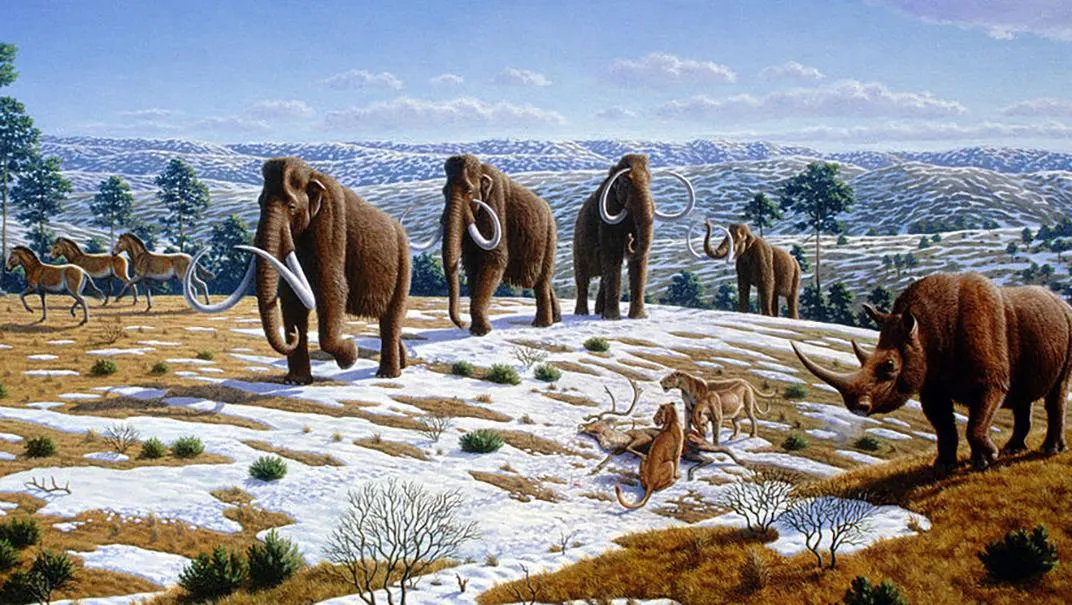 The Great Die-Off: Why North American mammals went extinct 50,000 years ago