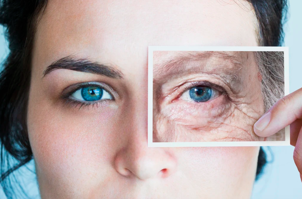 Lifechanging molecule reverses signs of aging, boosts brain health, and cuts inflammation