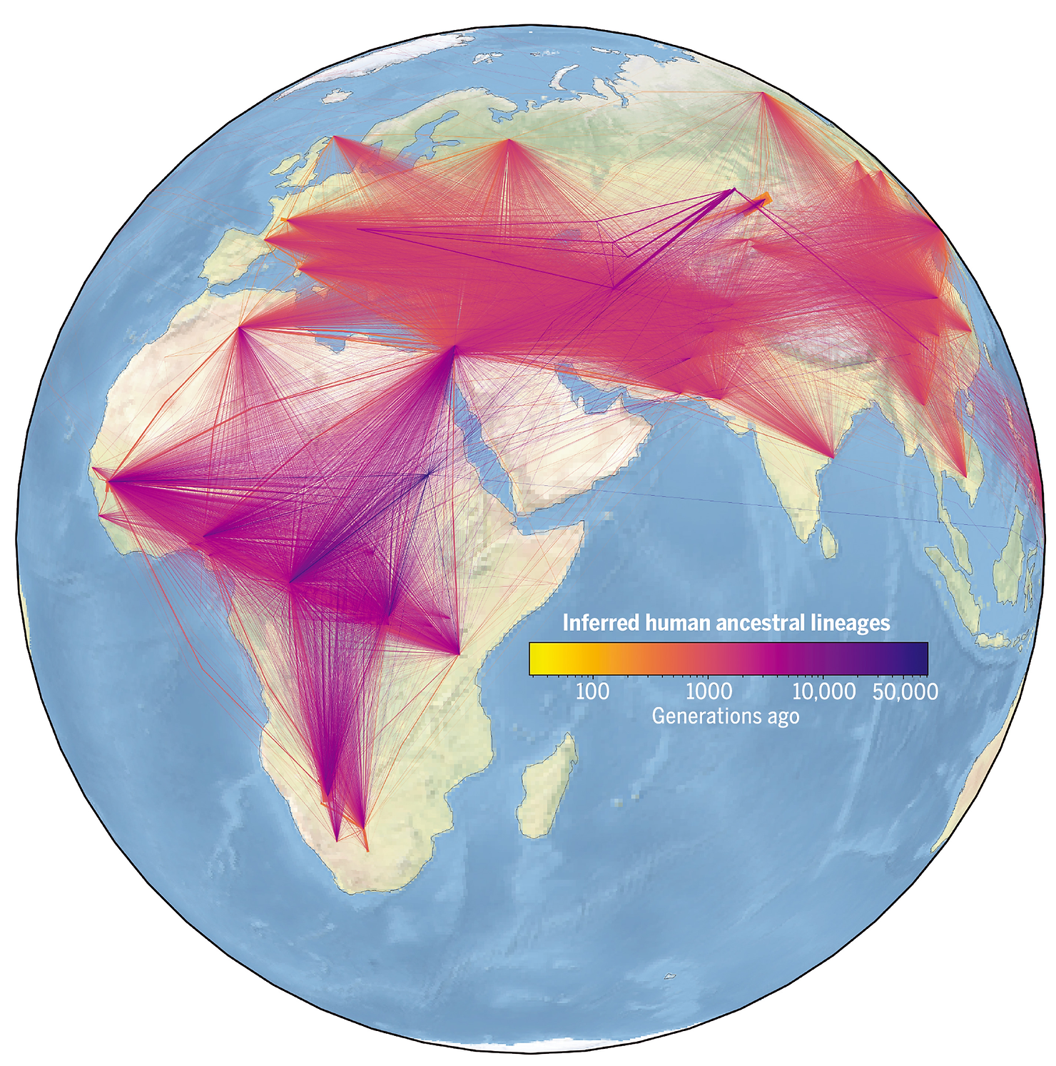 Visualizing inferred human ancestral lineages over time and space. Each line represents an ancestor-descendant relationship in our inferred genealogy of modern and ancient genomes. The width of a line corresponds to how many times the relationship is observed, and lines are colored on the basis of the estimated age of the ancestor. 