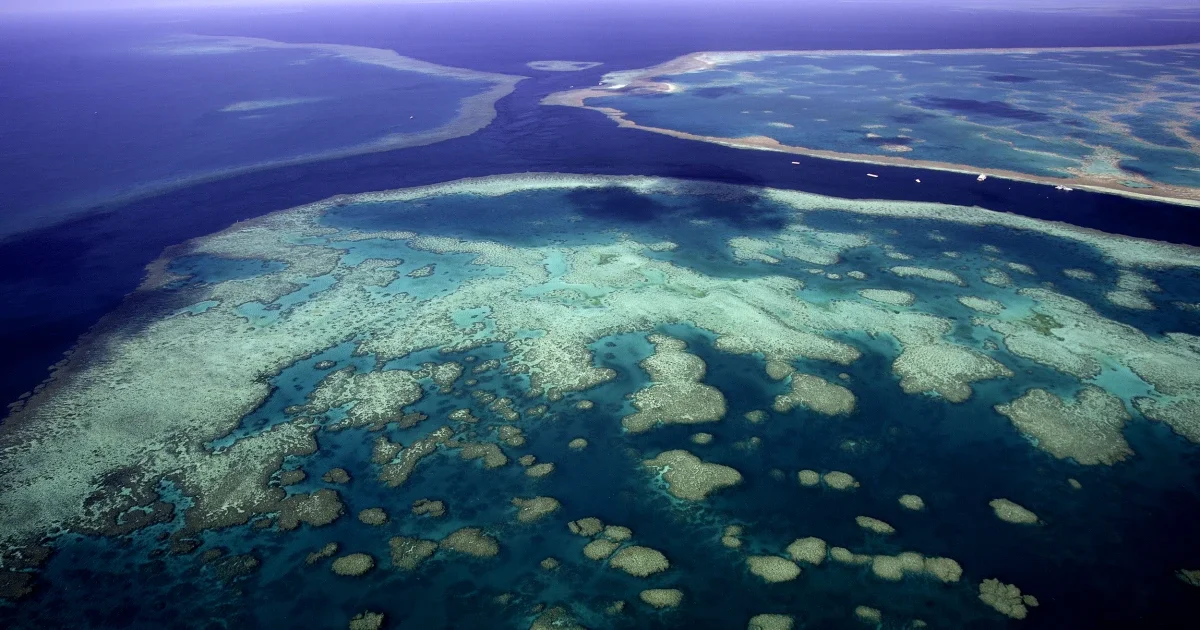 Gigantic structure taller than the Empire State Building found hidden off the coast of Australia