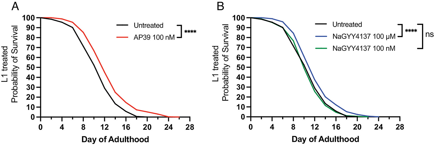 Lower doses of mitochondrion-targeted H2S extend life span. C. elegans life span is significantly increased with higher (100 µM), but not lower (100 nM) treatment with the untargeted H2S donor, NaGYY4137 when administered from L1 larval stage across the entire life course.