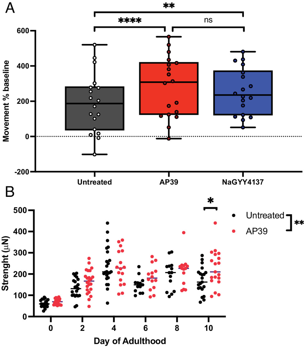 Mitochondrion-targeted H2S extends movement rate and maximal strength indices of health span. (A) Animal movement rate is increased across the entire lifecourse with both lower dose (100 nM) mitochondrion-targeted H2S (AP39) and higher dose (100 µM) untargeted H2S (NaGYY4137) when administered from L1 larval stage until death.