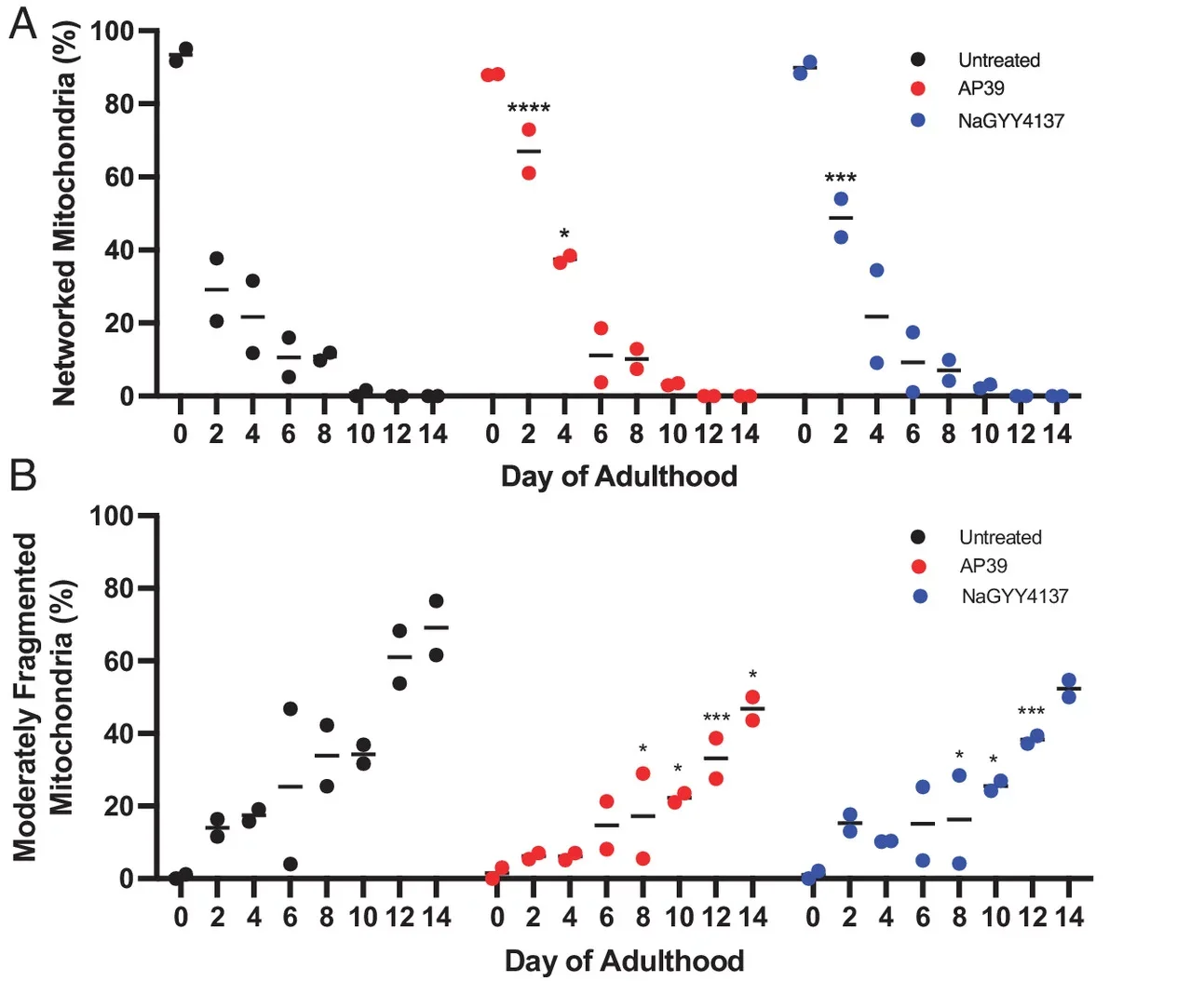 mtH2S prolongs mitochondrial integrity and content. The percentage of well-networked and (B) moderately fragmented mitochondria during C. elegans aging is significantly improved with mtH2S (AP39), and for a longer duration than untargeted H2S (NaGYY4137) treatments.