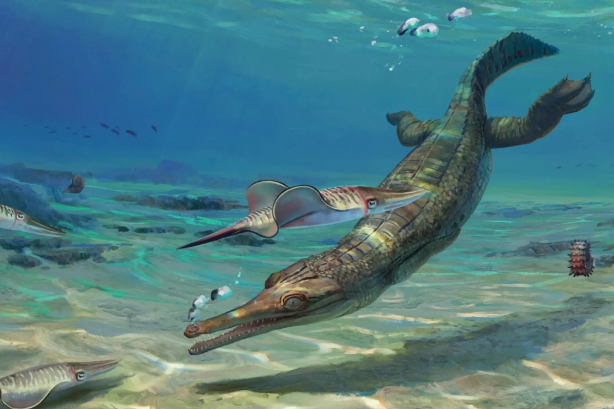 Scientists discover new species of ancient crocodile - from 135 million ...