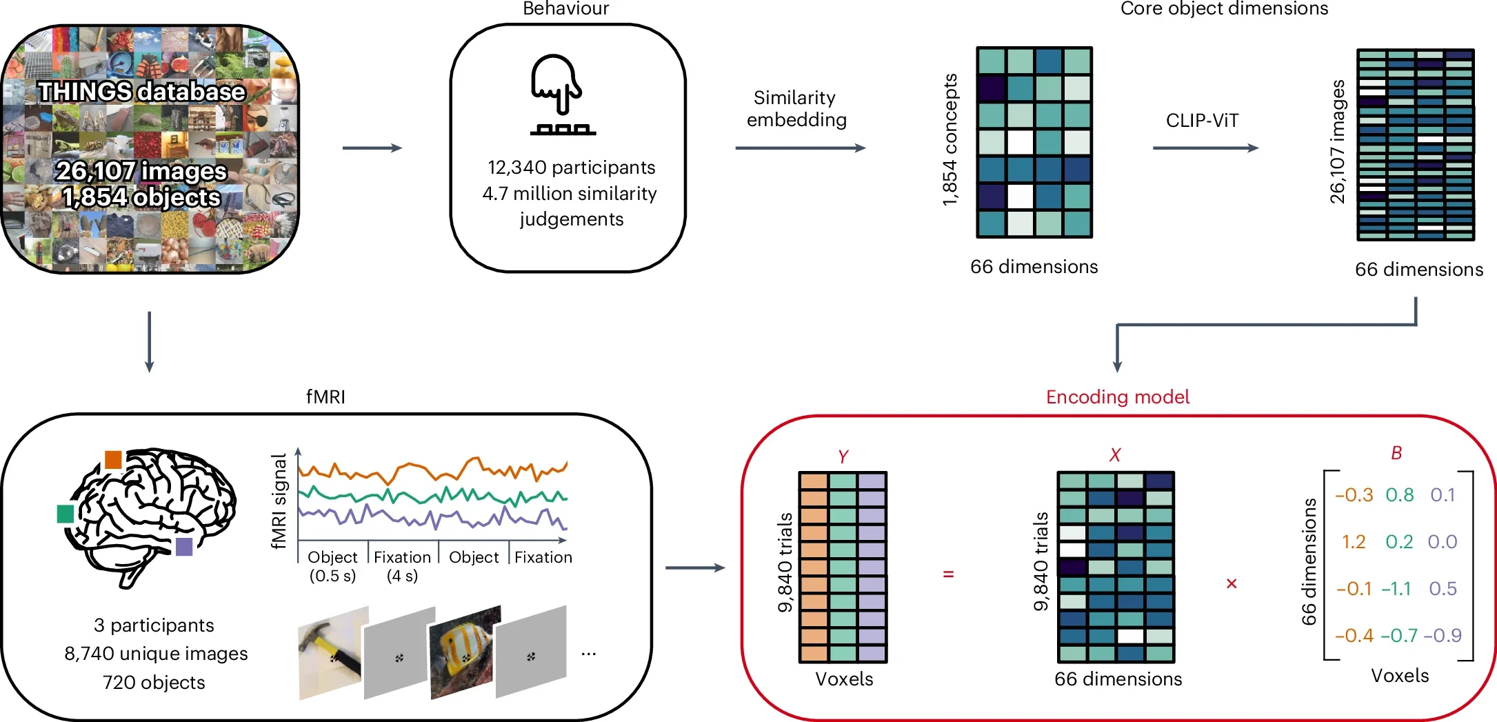 An fMRI encoding model of object dimensions underlying human similarity judgements.