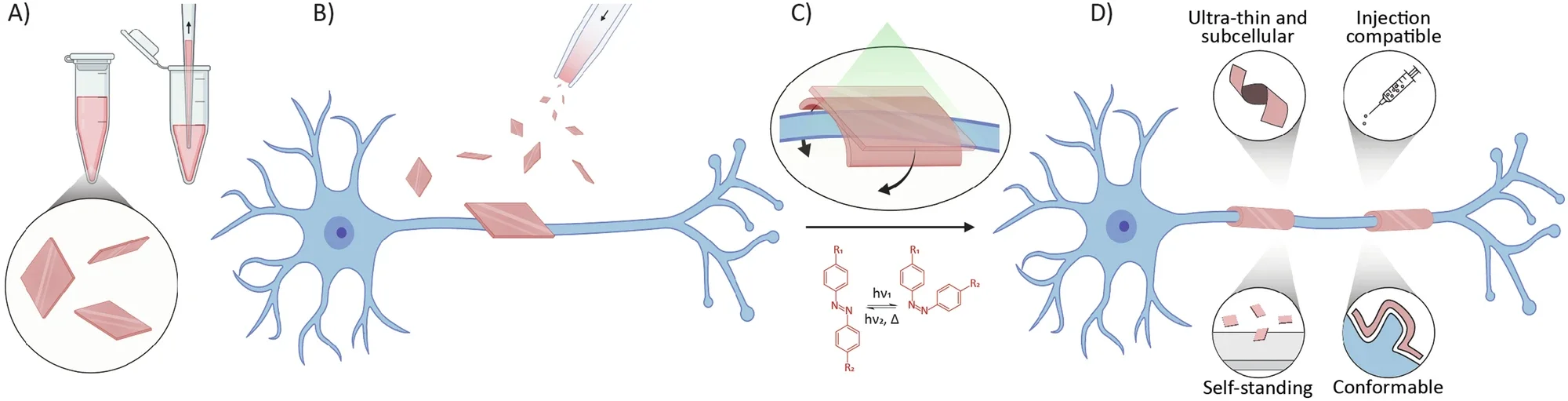 Cell-conformable platforms. Generalized freestanding thin-film microdevices of 5–100 µm2 dispersed in physiological solution or cell medium at high concentrations. 