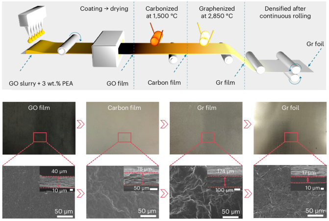 Fabrication of the large-area Gr foil.