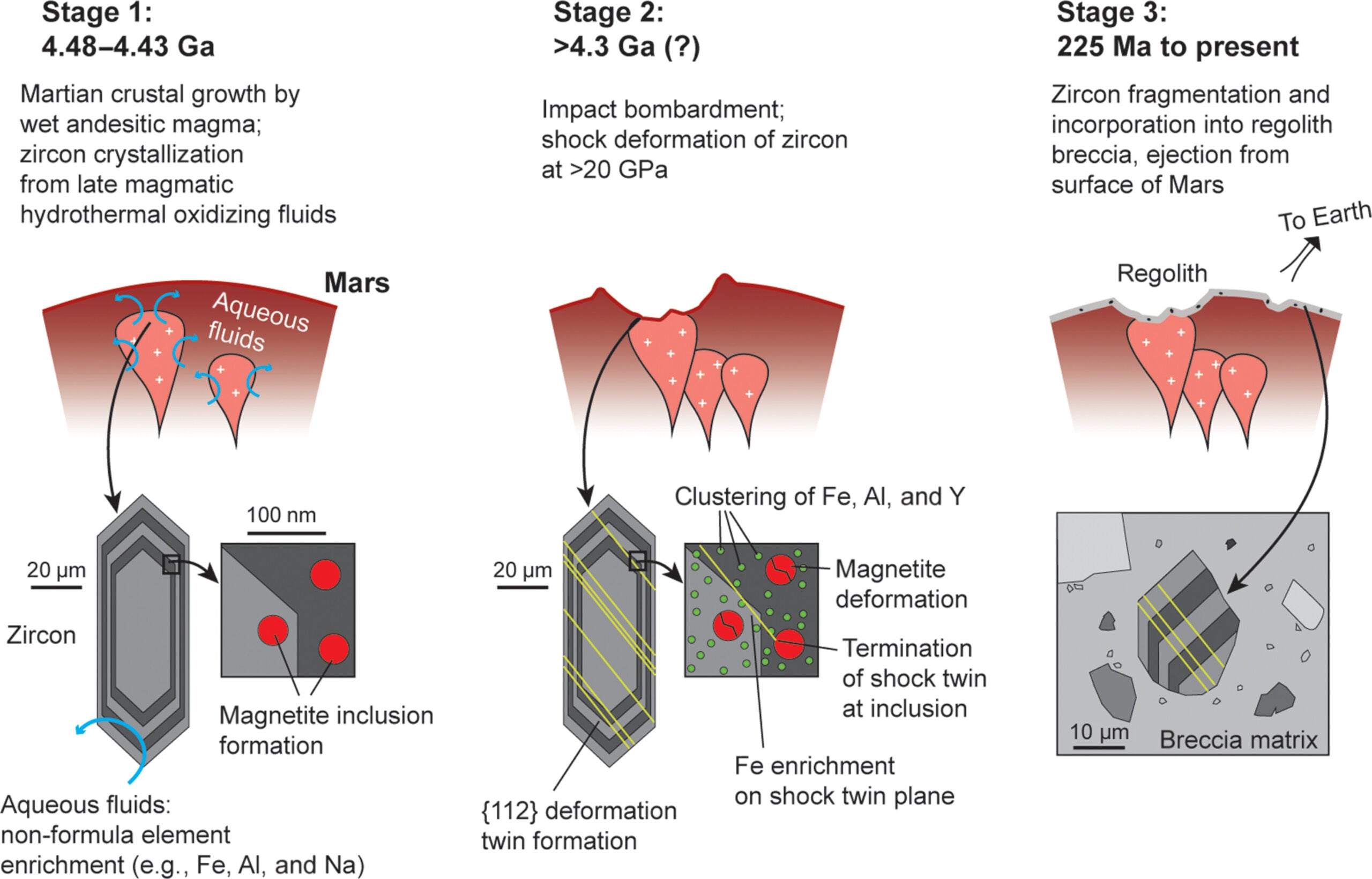 Model of zircon growth and deformation in the context of the martian crust from 4.5 Ga to ejection of NWA7034 from Mars.