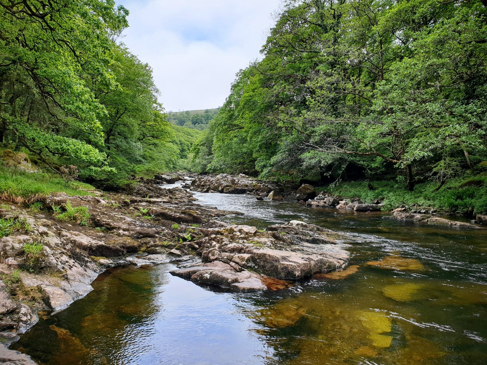 The River Dart.