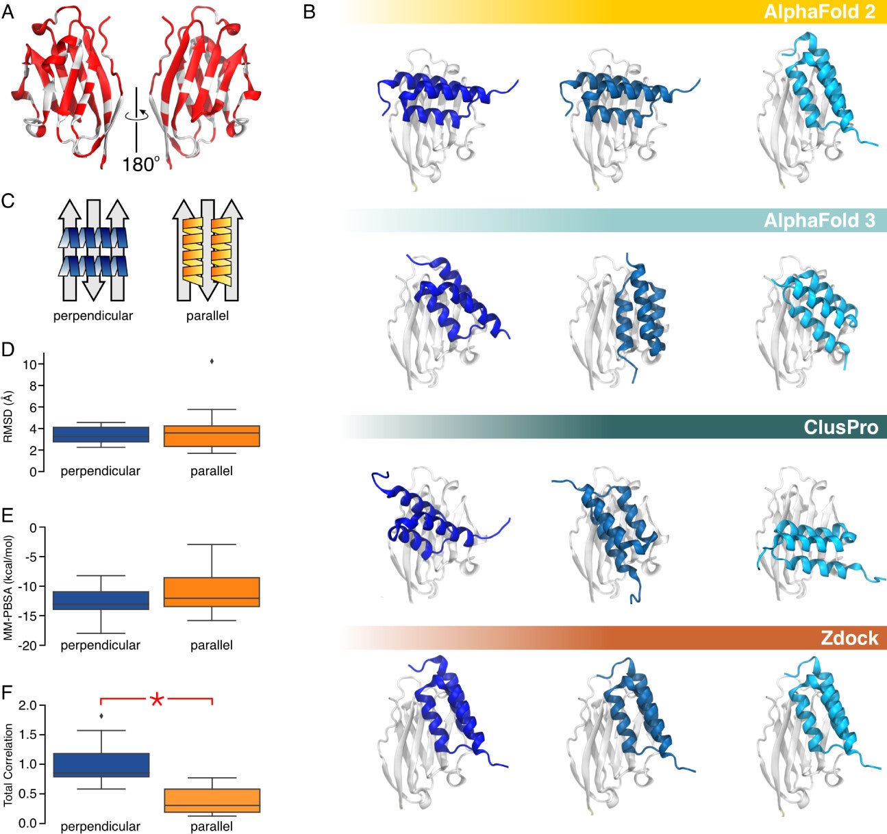 Results of structural predictions of the PD-L1:Affibody complex. (A) Native contacts of PD-L1 complexes found in the PDB highlighted in red.