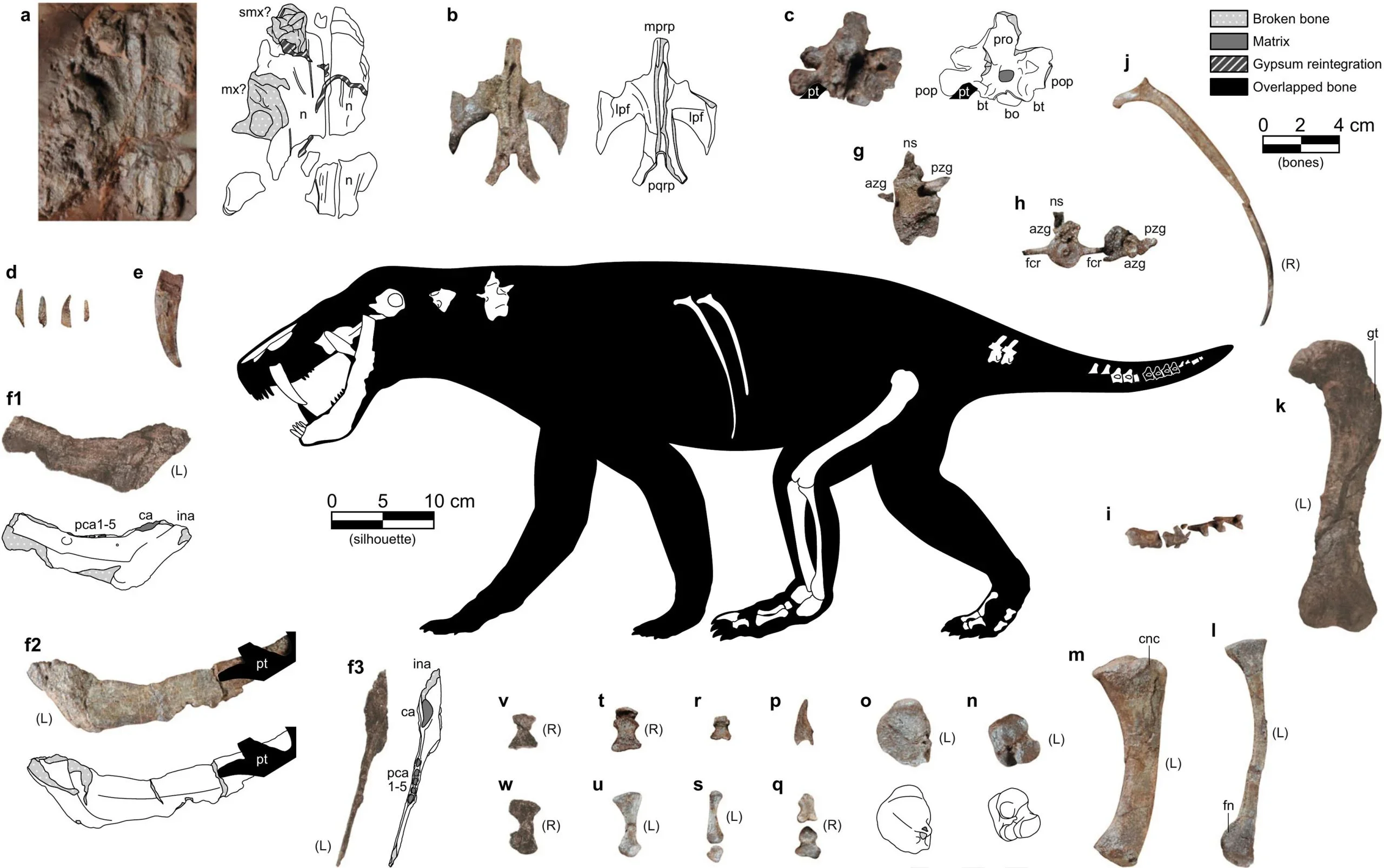 Most relevant elements of DA21/17-01-01 and silhouette showing their positions