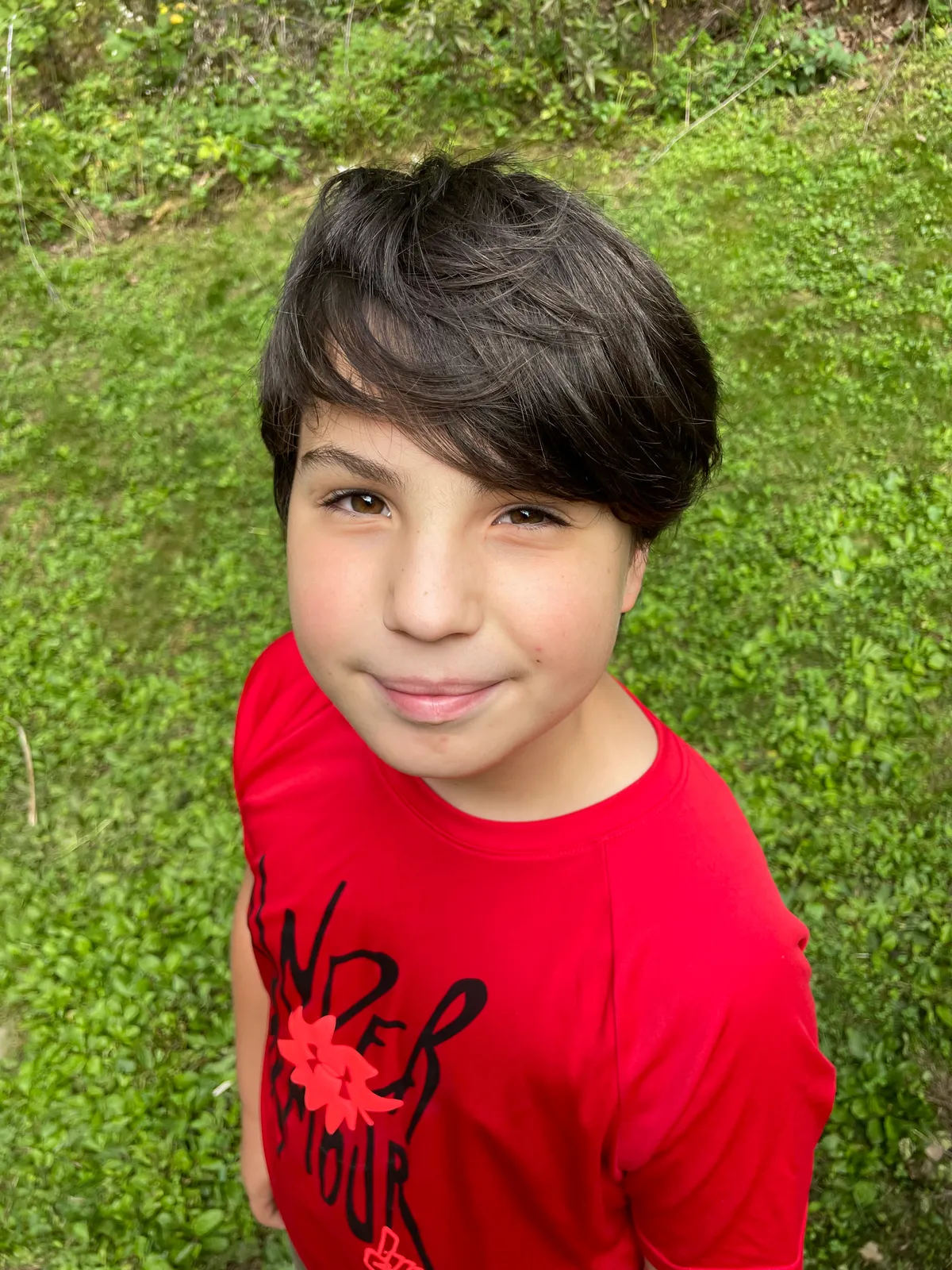 Hugo found a handful of round objects lying near an ant nest in his garden.