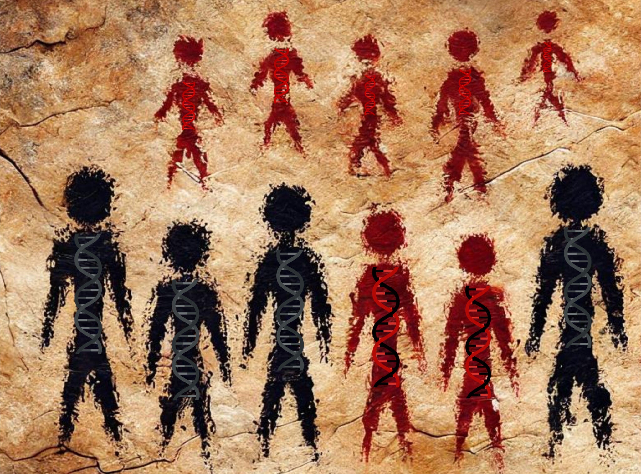 Illustration of an encounter between a group of Neanderthals and a group of modern humans with offspring (red, bottom row) showing recent Neanderthal ancestry, imagined as a cave art painting. DNA from bones and teeth of these early human ancestors is helping scientists understand the interactions between early Homo sapiens and the Neanderthals they encountered after migrating out of Africa.