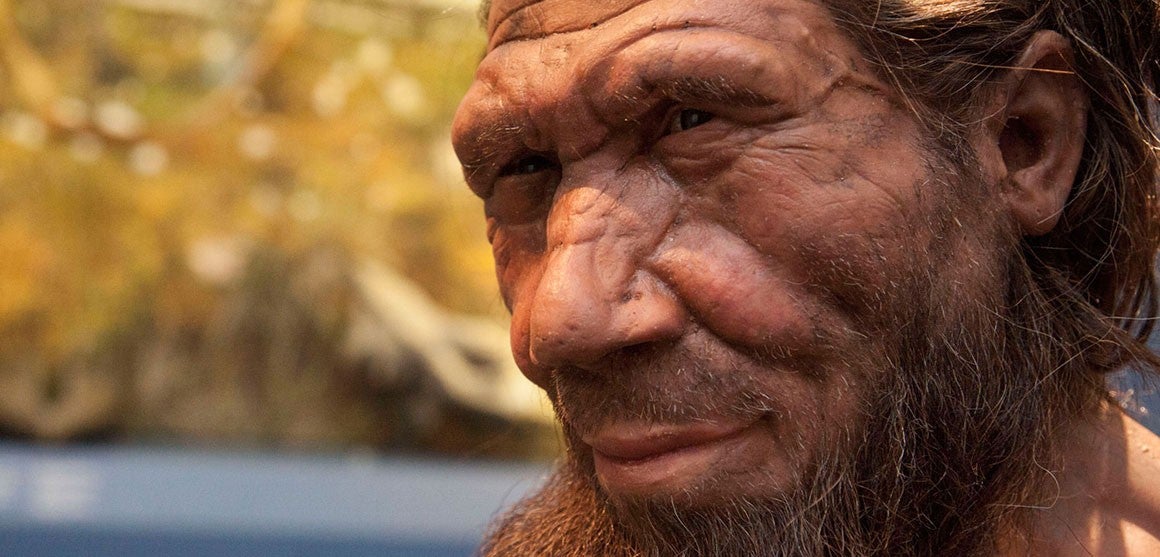 The reconstructed face of male Neanderthal based on the remains of a 40,000-year-old Homo neanderthalensis found in Belgium. 