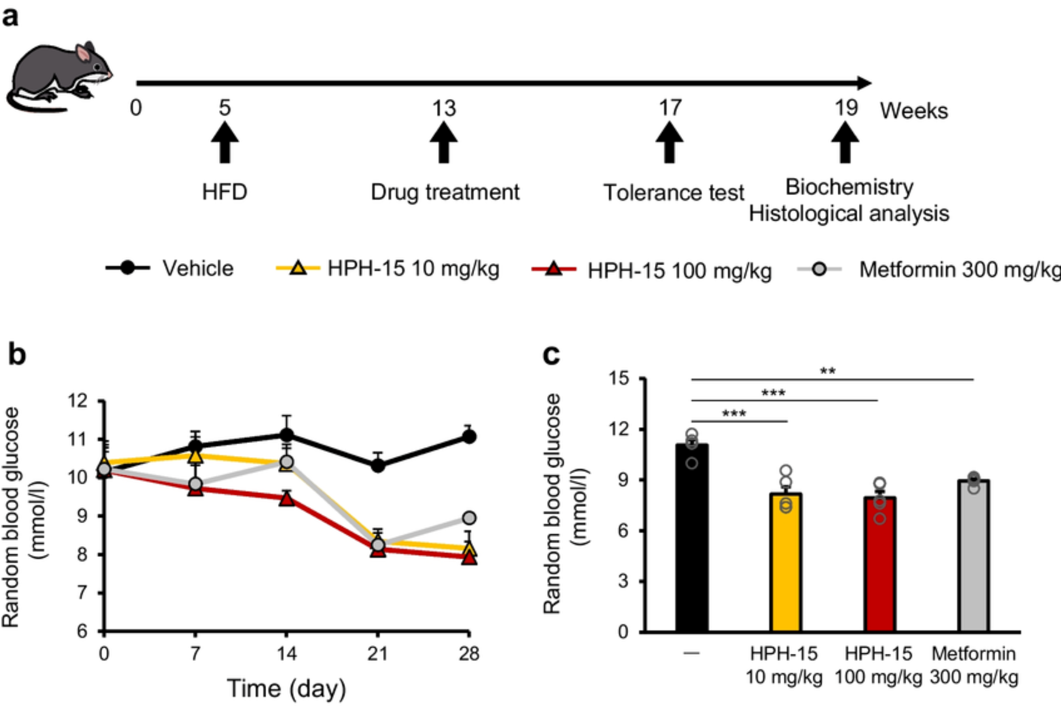 Effects of HPH-15 on blood glucose and insulin in HFD-fed mice. (a) Schematic of the mouse experiments. (b) Quantification of random glucose levels in the blood of mice treated with HPH-15 (fed ad libitum).