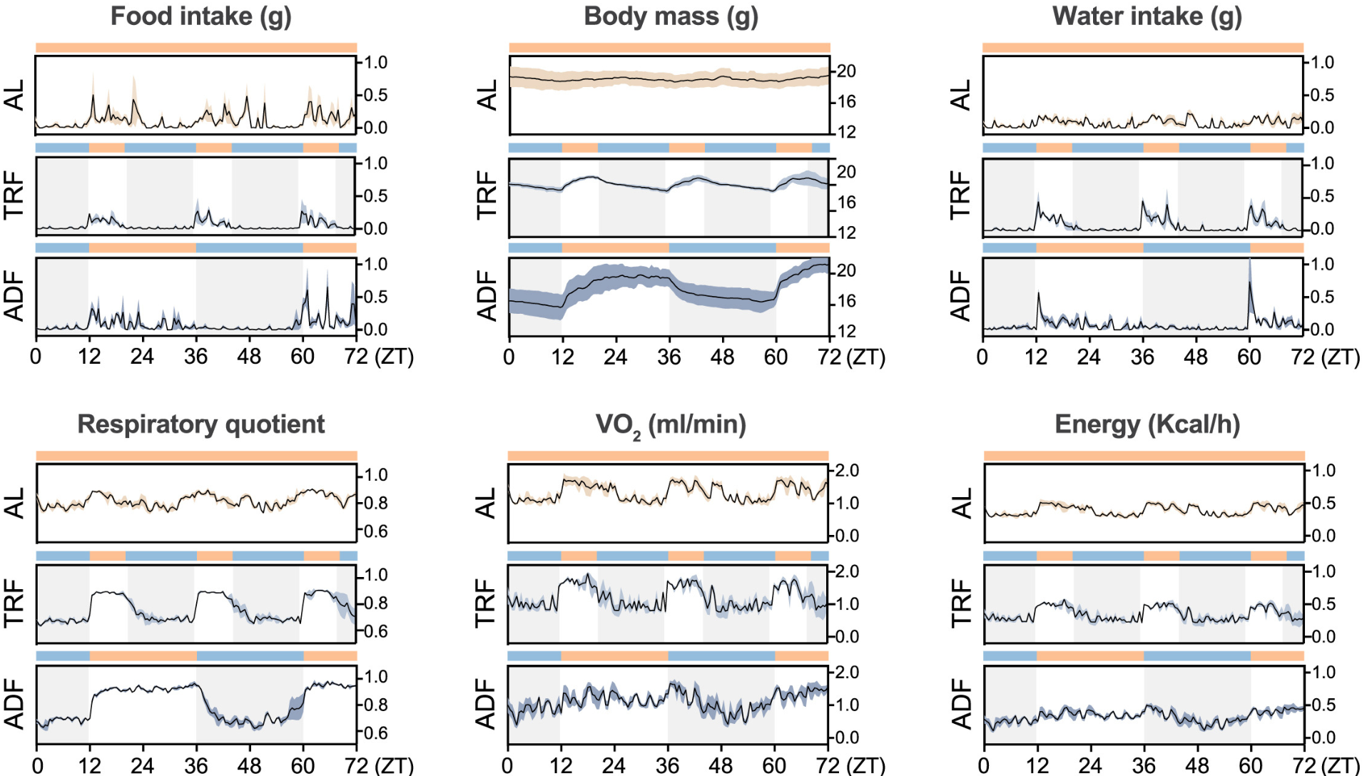 Metabolic cage data of mice under AL, TRF, and ADF over a 72-h period starting from ZT0. Fasting periods are shadowed by gray. Parameters measured: food intake (gram), body mass (gram), water intake (gram), respiratory quotient (VCO2/VO2), the volume of oxygen consumed VO2 (mL/min), and energy expenditure (kcal/h, n = 3)