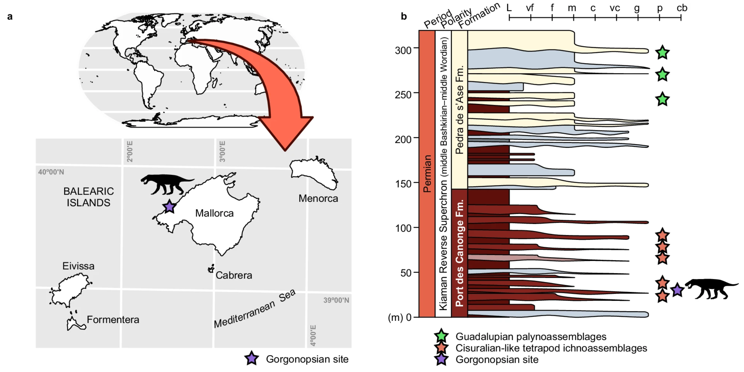 Geological context of the gorgonopsian from Mallorca.