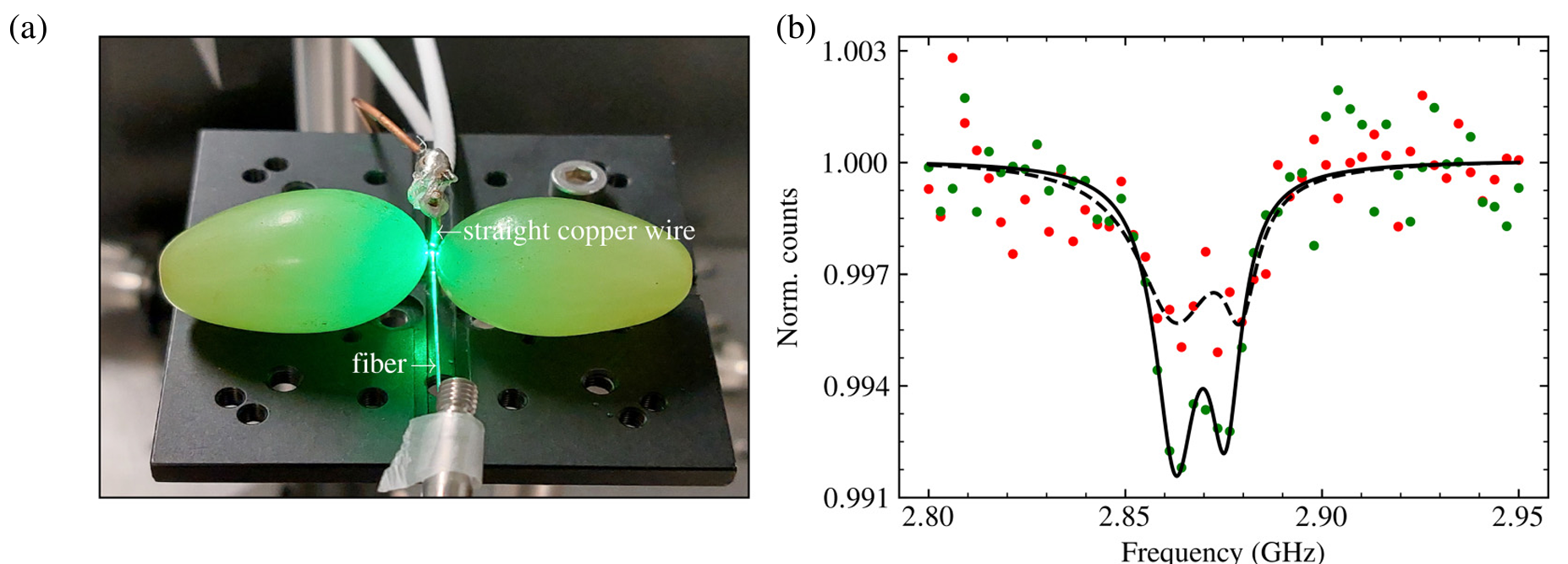 Photo of the experimental setup to couple MWs to N-V using grape dimers. A stripped optical fiber with N-V
spins, cantilevered from a rod, lies between two grapes. The grapes were positioned on a platform with a vertical straight copper wire, equidistant from each grape.