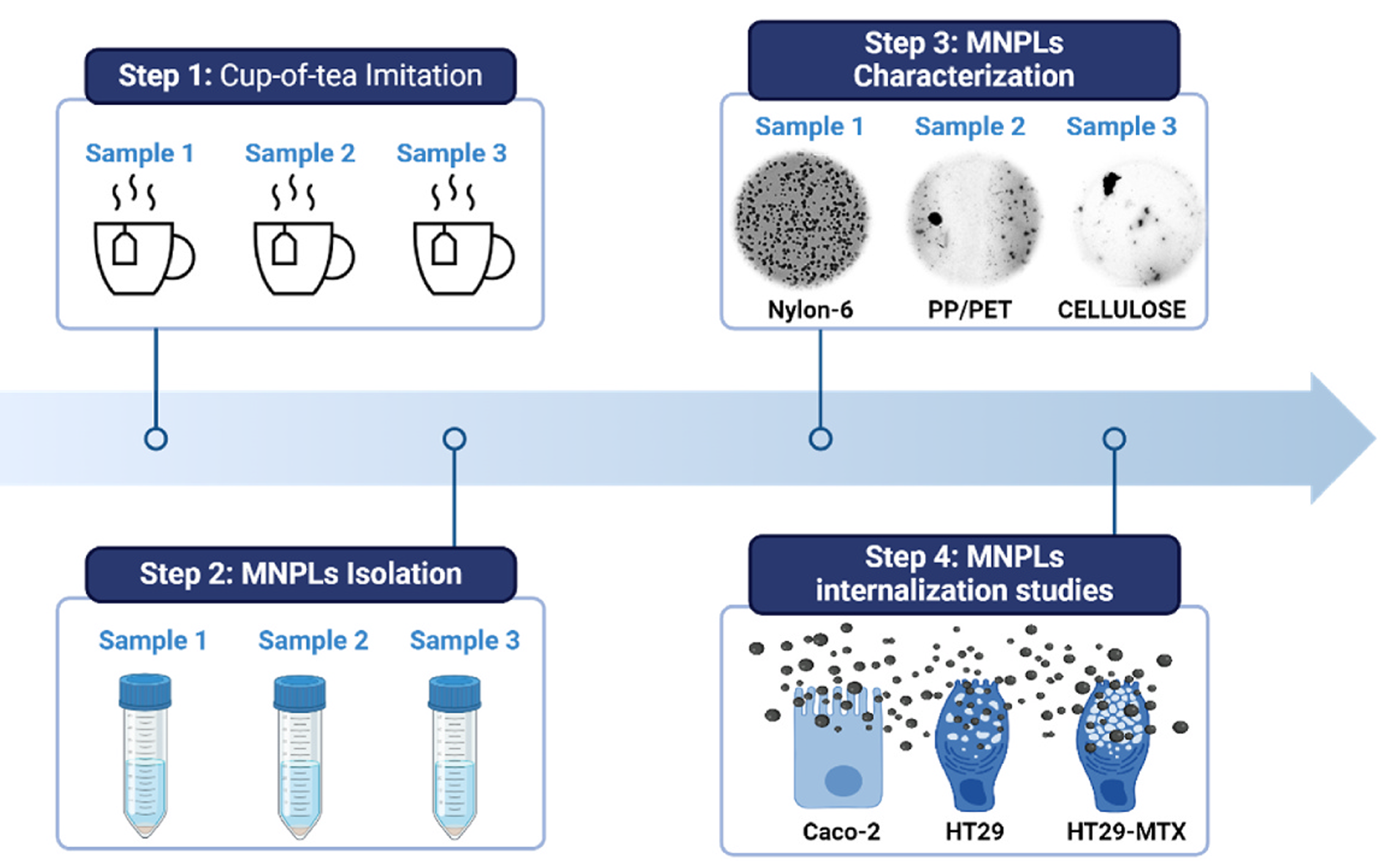 Graphical abstract of the study.