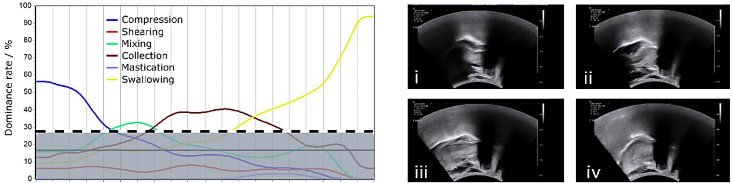 Temporal dominance of motions (TDM) profiles illustrate the progression of actions during food oral processing over time, accompanied by representative Coronal plane US images depicting the predominant actions of the human tongue (tongue tip on the right) for various model foods, including Viscous Liquid (VL). 