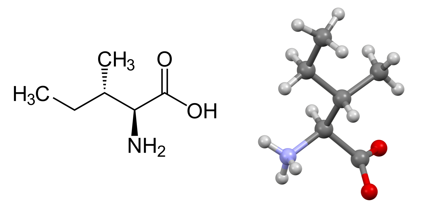 Isoleucine (symbol Ile or I) is an α-amino acid that is used in the biosynthesis of proteins.