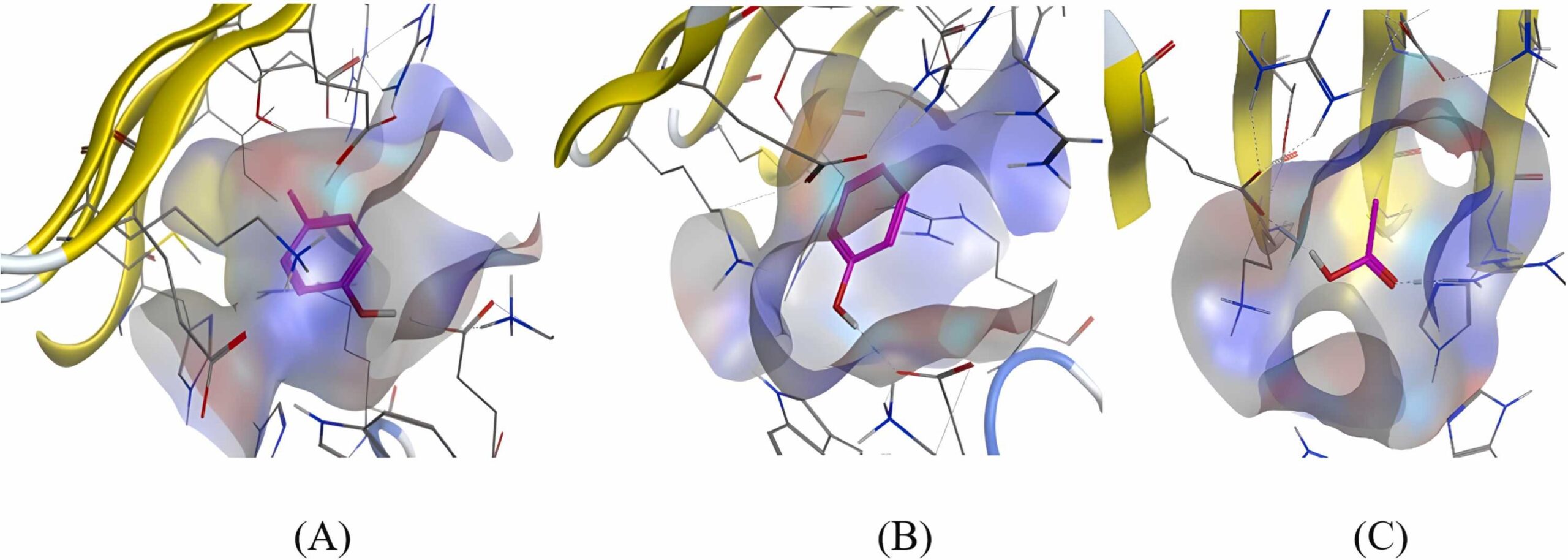 (A) 3D visualization of docking between methyl phenol and TLR2 molecule; (B) 3D visualization of docking between phenol and TLR2 molecule; (C) 3D visualization of docking between acetic acid and TLR2 molecule.