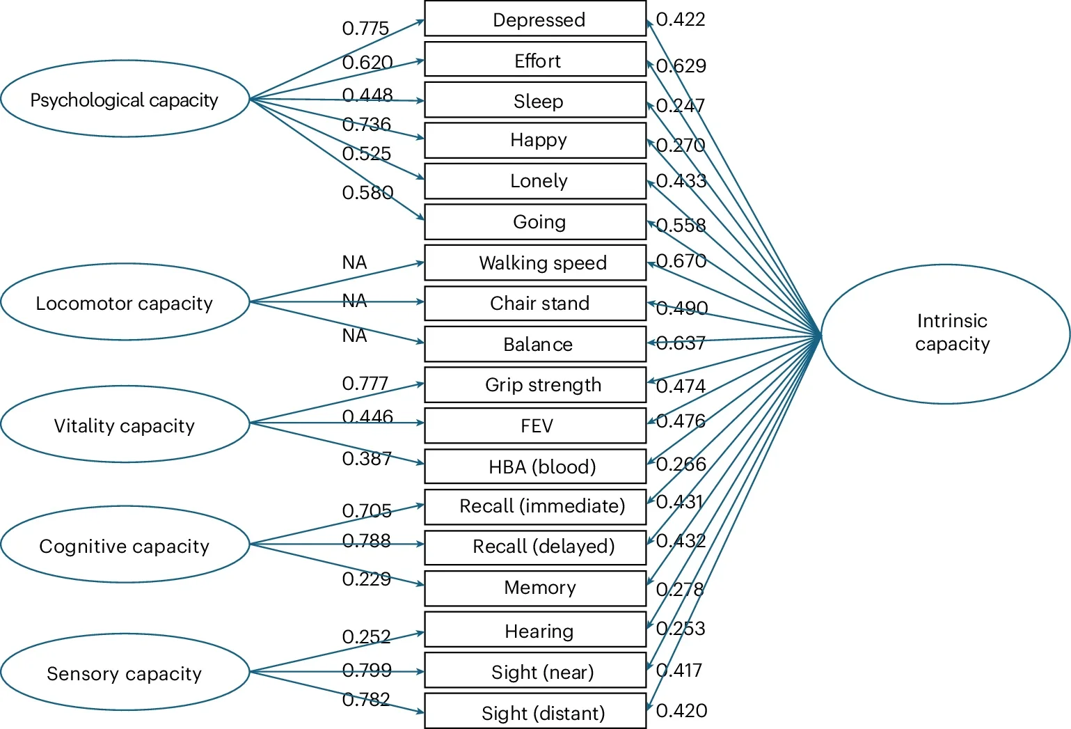 A total of 14,710 participants from the ELSA waves 1–9 (2002–2019) were used for the CFA. Standardized loadings were derived from the scalar bifactor models for intrinsic capacity and from the correlated factor models for each of the subdomains.