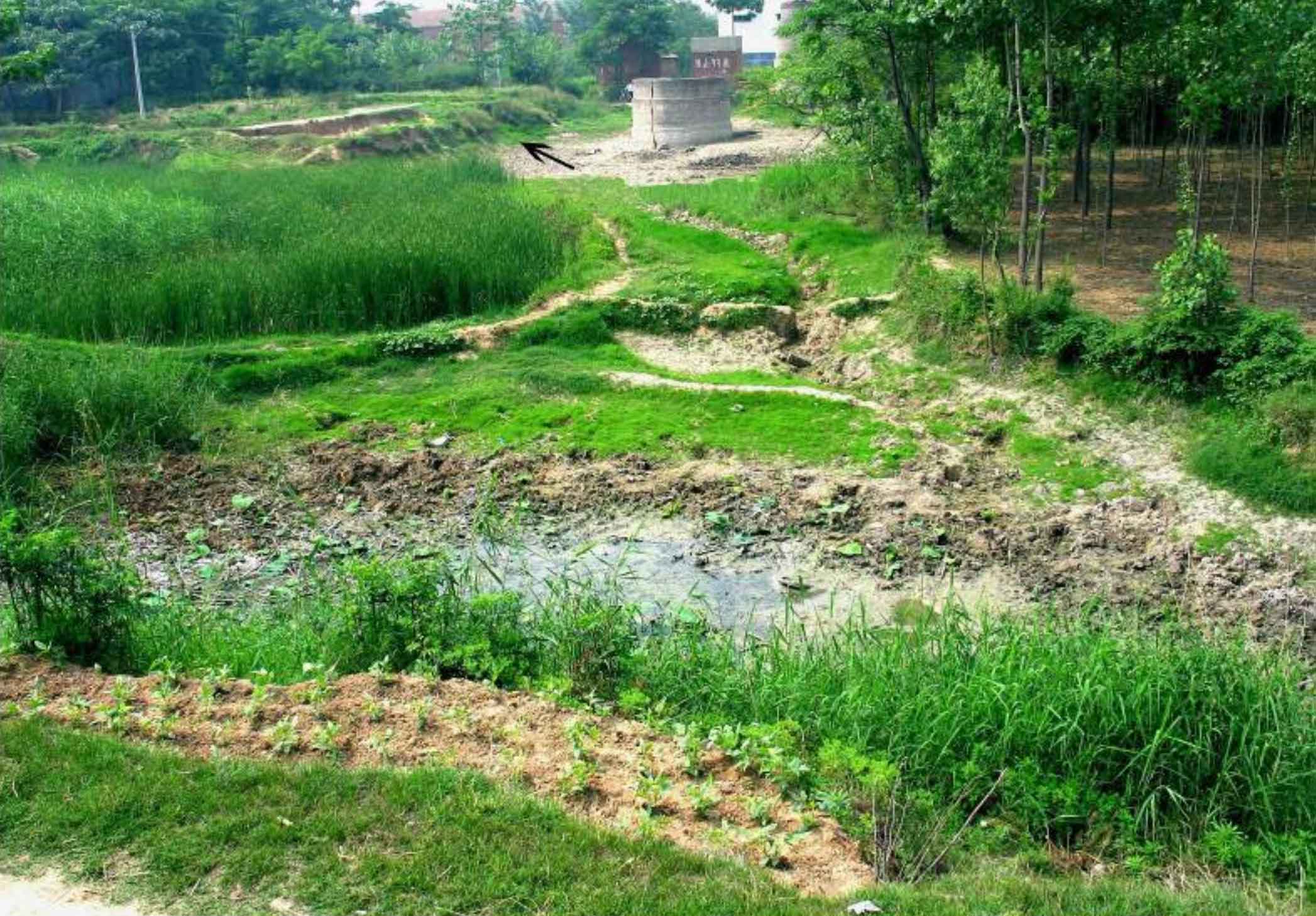 Lingjing site prior to the beginning of excavations in 2005, showing the context of the fossil discoveries. The arrow indicates the area where excavations began.