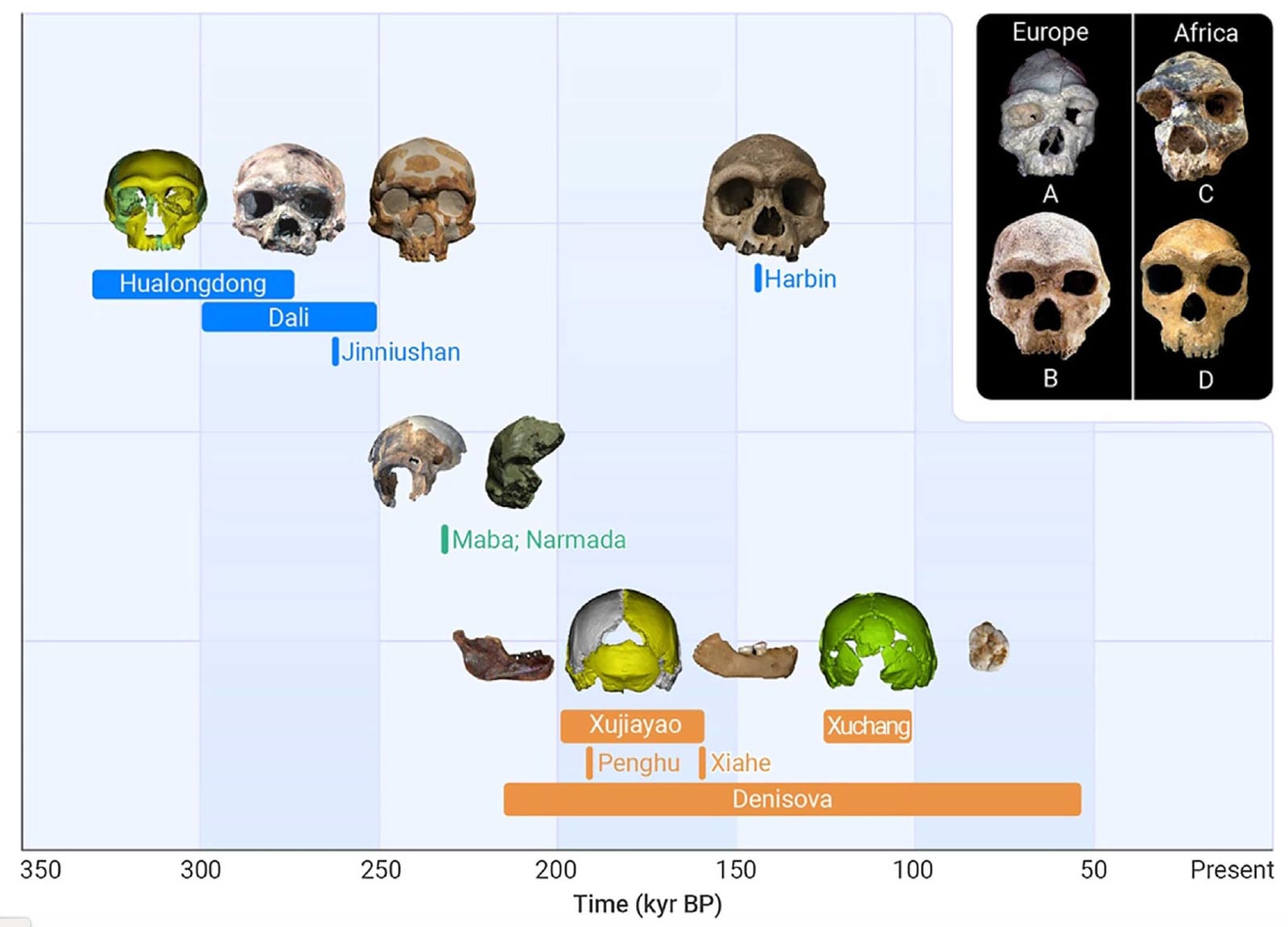 Timeline and morphological groupings considered by Christopher Bae and coworkers (2023). 