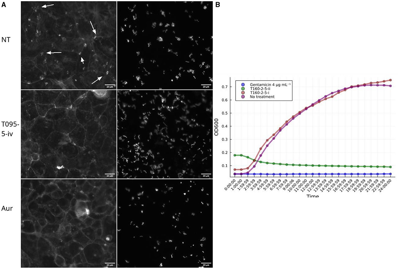 Subfractions demonstrate a similar biological activity as the full fractions in the screening assays.