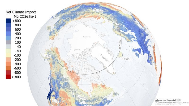 The Net Climate Impact (NCI) of tree planting across the Northern circumpolar region (blue=cooling, red=warming). NCI is the carbon storage in trees minus the albedo reduction effect expressed as CO2 equivalents (CO2e) per unit area.