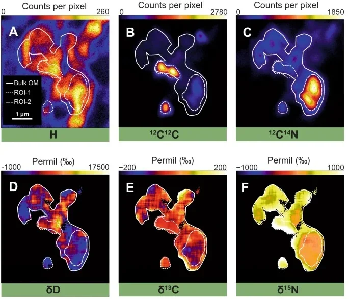 Isotopic composition of the primitive organic material in Amazon. (A) NanoSIMS ion image of H. (B) 12C12C. (C) 12C14N. (D) Isotopic images of the CN-rich region of δD, (E) δ13C and (F) δ15N. 