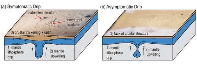 Artist impression of two types of lithospheric drip. One type produces thickening and uplift of Earth’s crust, while the other results in the formation of a basin at the surface without horizontal deformation.