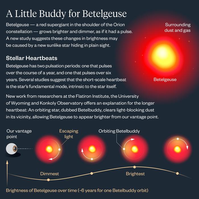 Infographic describing how the Betelbuddy affects Betelgeuse's apparent brightness.

