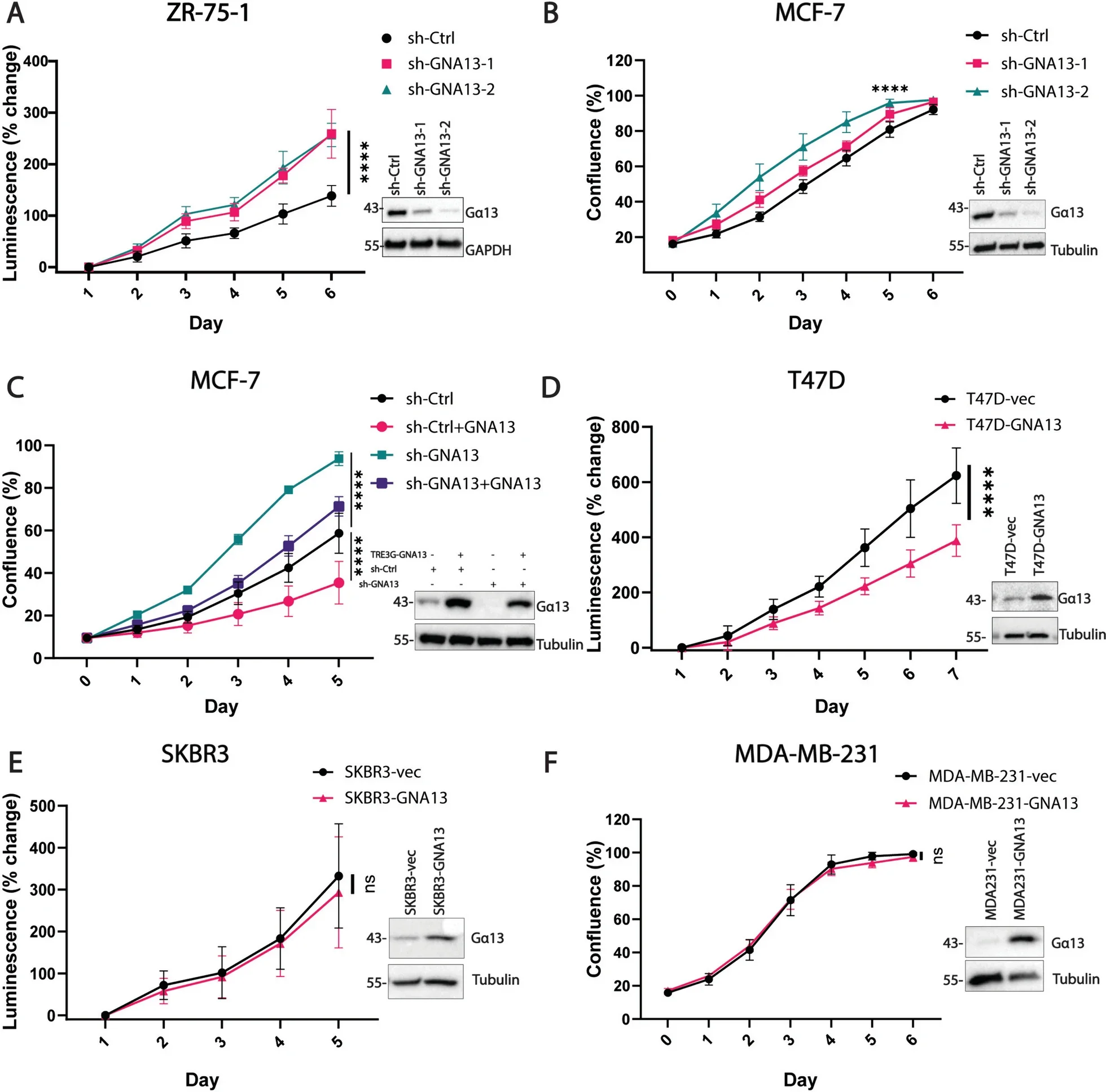 Gα13 negatively impacts proliferation uniquely in ER+ breast cancer cells.