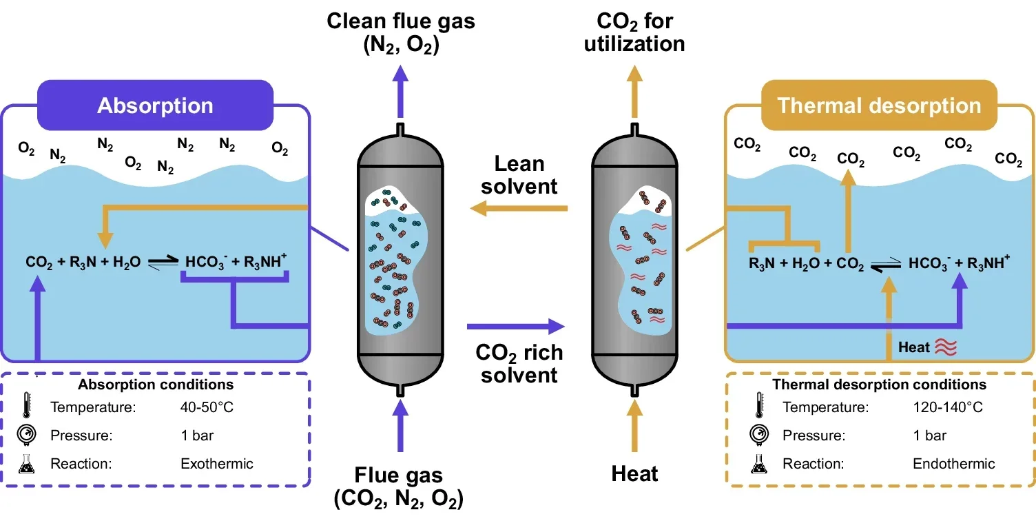 A schematic of the desorption process in conventional thermal-based carbon capture