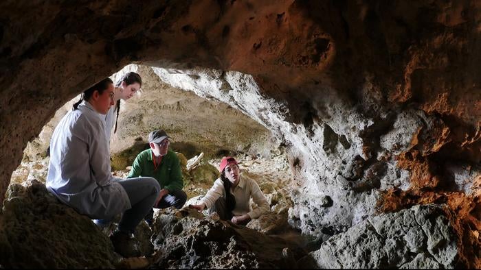 WashU archaeologists are investigating coastal and underwater caves in southeastern Sicily, tracing early human dispersal onto the island.