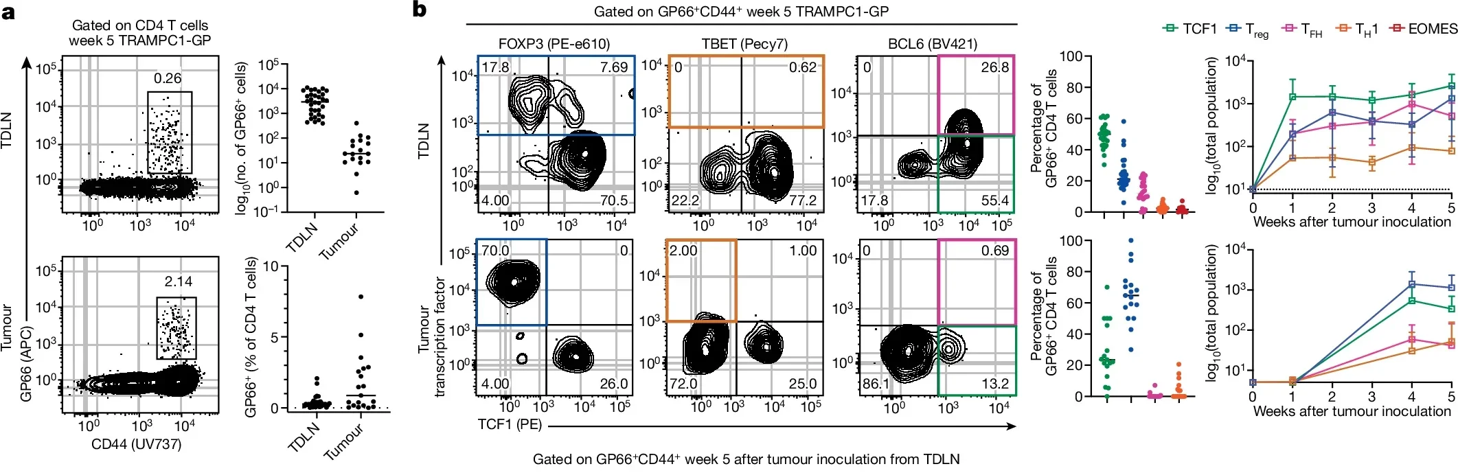  Identification of a TCF1+lin− stem-like CD4 T cell population in mouse cancer models.