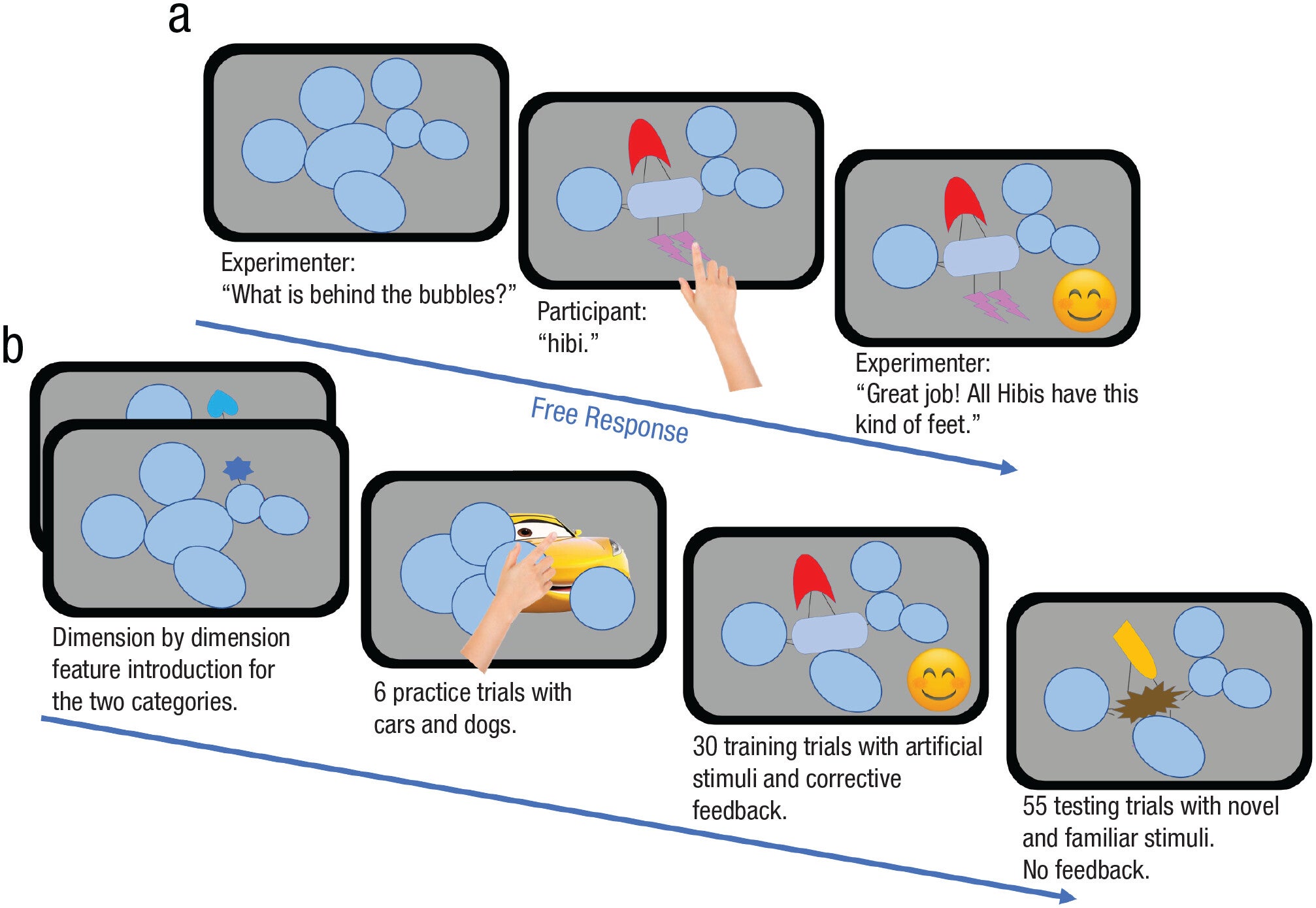 A. Schematic of the Training Phase Procedure. Each trial begins with dimensions occluded by bubbles; participants choose to uncover the bubbles and make category decisions, receiving corrective feedback emphasizing rule features. B. Experiment Overview: After the category introduction, participants first trained with familiar categories (e.g., car and dog) before transitioning to artificial categories and finally underwent testing on both trained and novel category stimuli. 