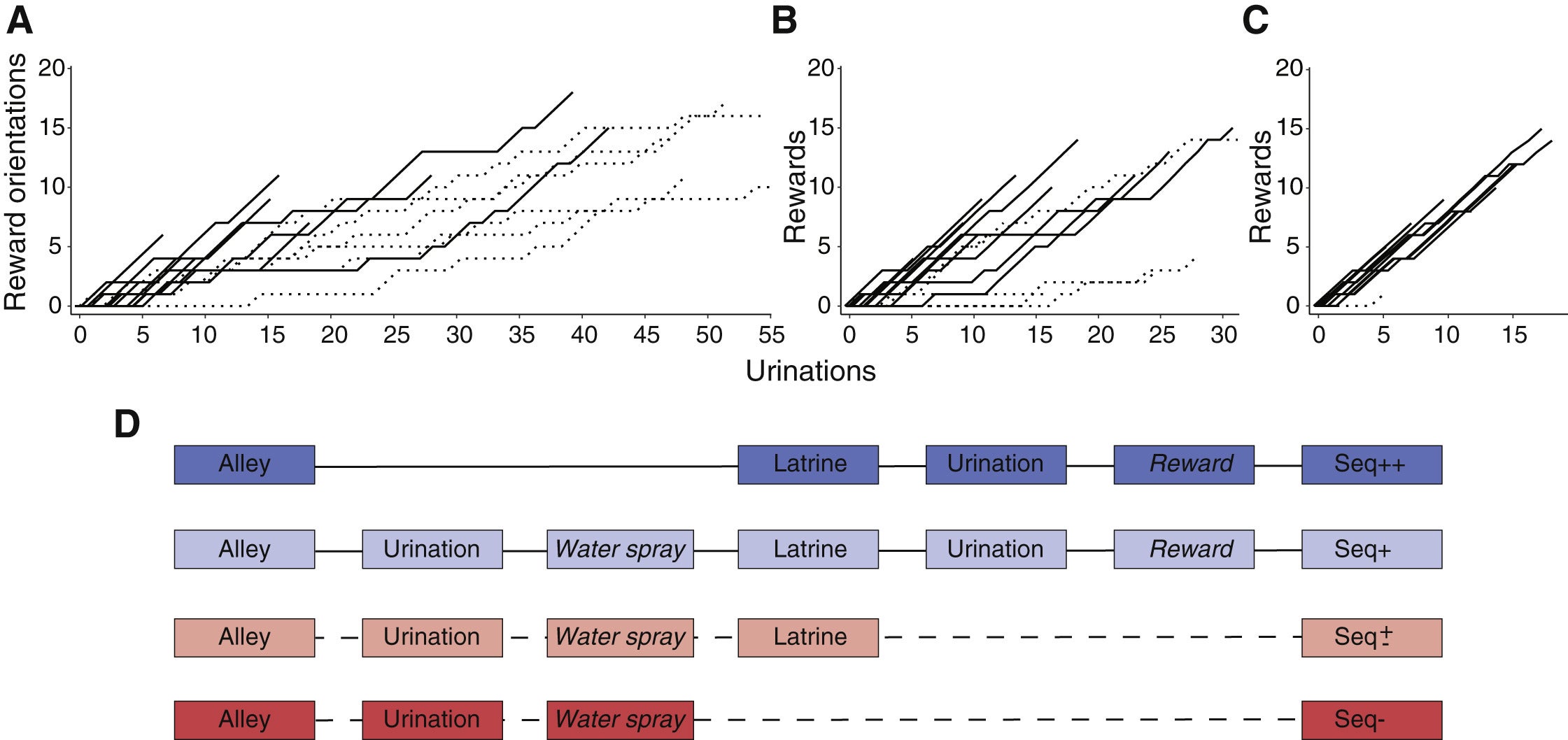 Cumulative learning curves for individual calves for (A) in-latrine training (n = 16), (B) for toileting training (n = 16) and (C) for toileting+training (n = 11).