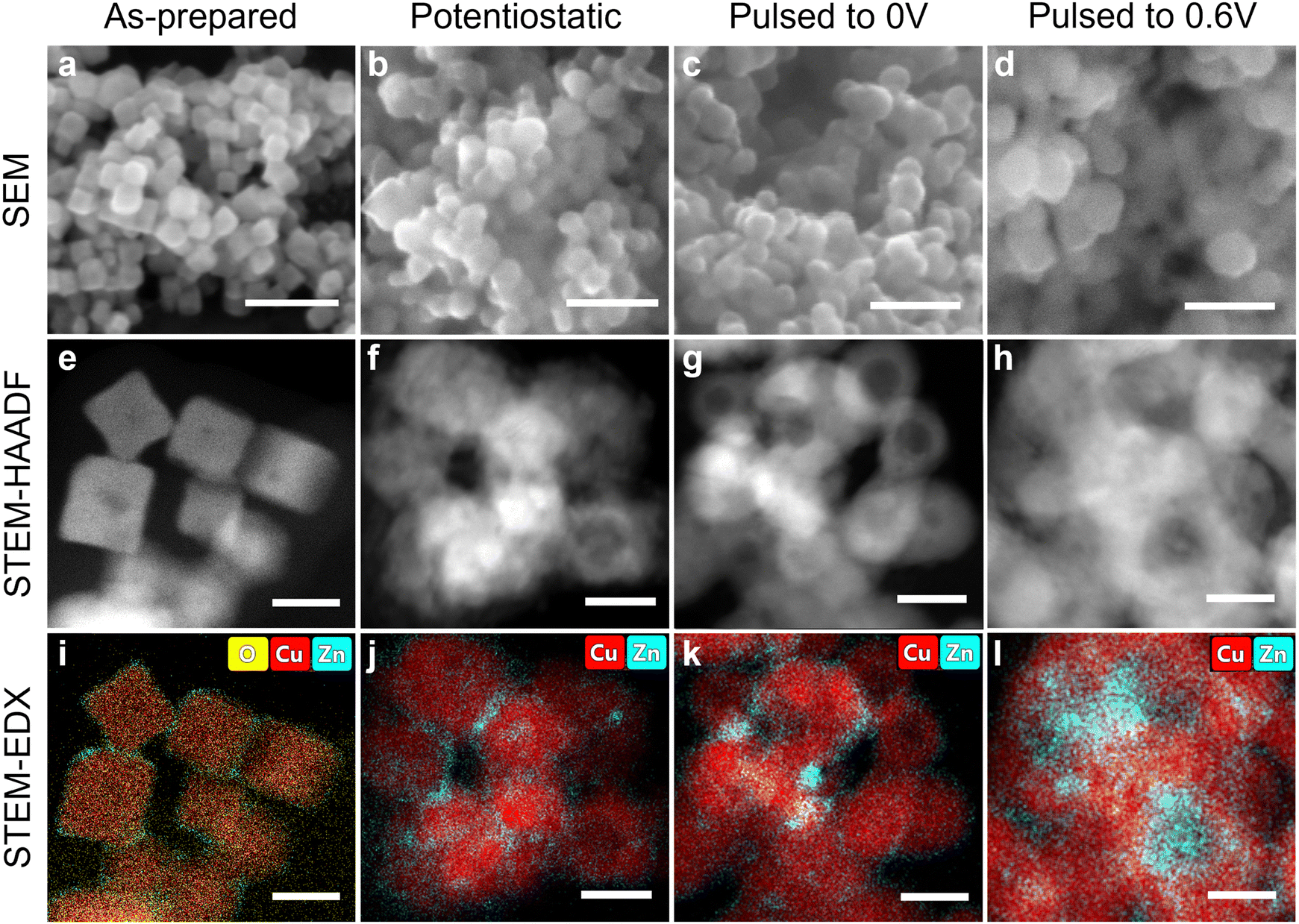 Microscopy characterization of the Cu–Zn catalyst after different electrochemical reaction conditions. 