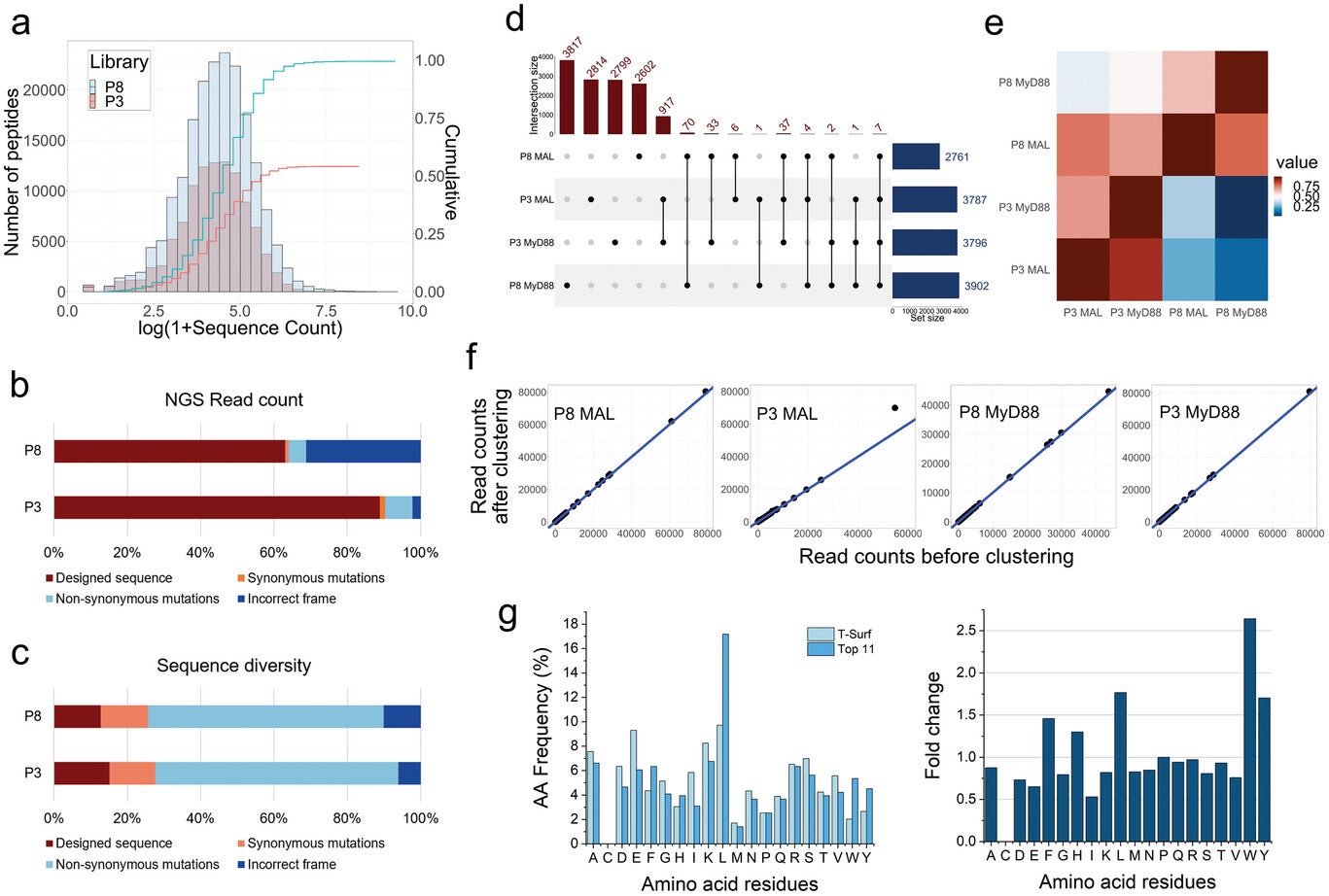 Design, construction, and selection of the T-Surf peptide library.