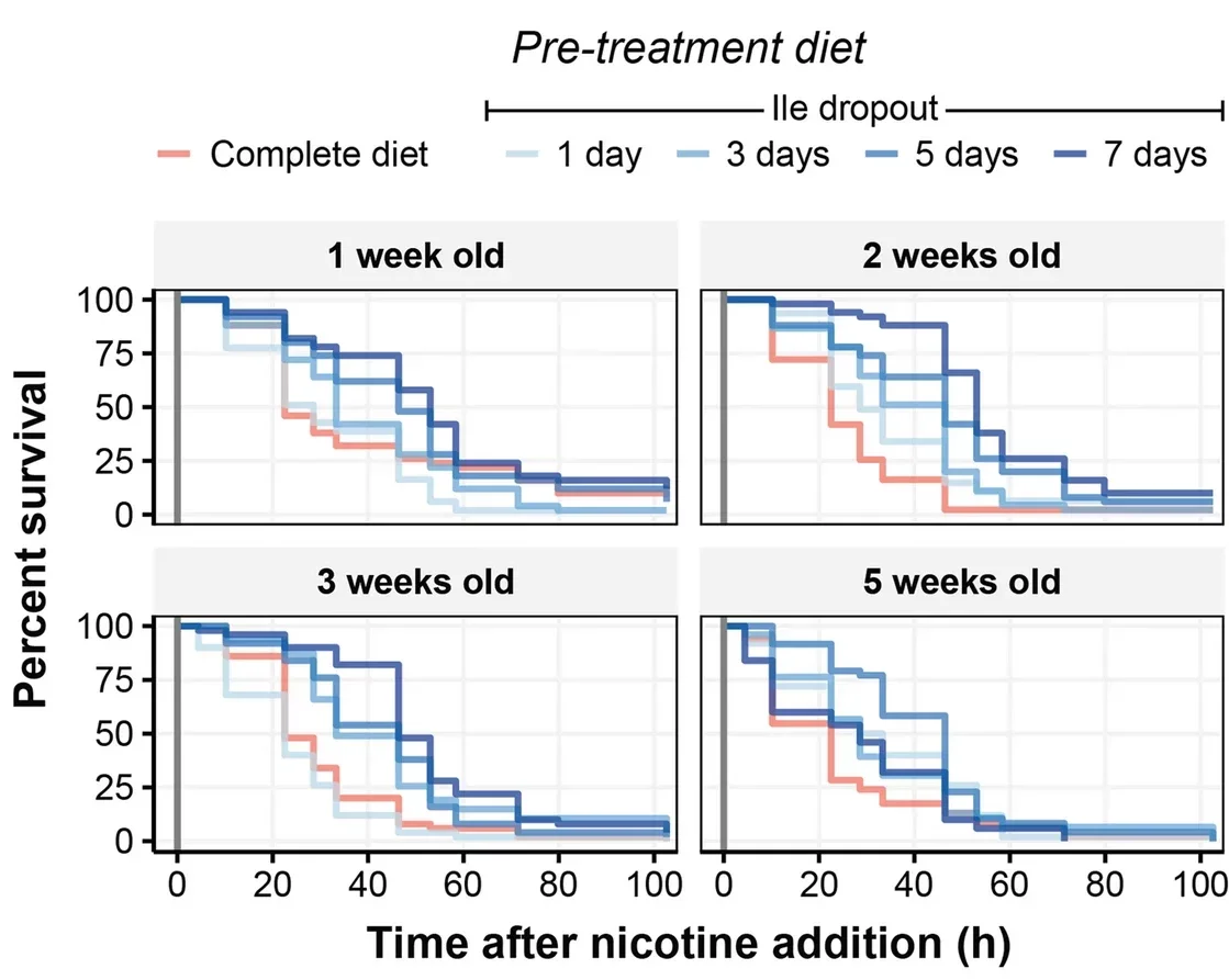 Short-term isoleucine deprivation confers nicotine resistance on young and middle-aged flies. 