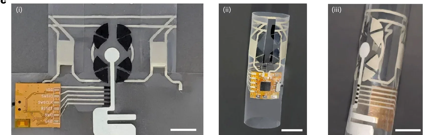 Optical images of the fingertip-wearable microgrid. Outlooks of the expanded structure (i) before folding, (ii) after folding and connecting the BFC-battery to the fPCB, (iii) and after inclusion of a paper fluidic channel and sensors.