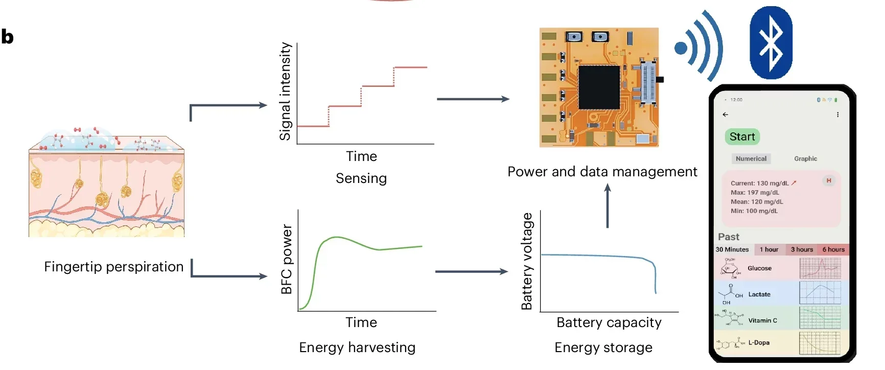 Schematic of the fingertip-mounted energy microgrid working principle for energy harvesting, energy storage and electrochemical sensing with wireless data transition and smartphone display.