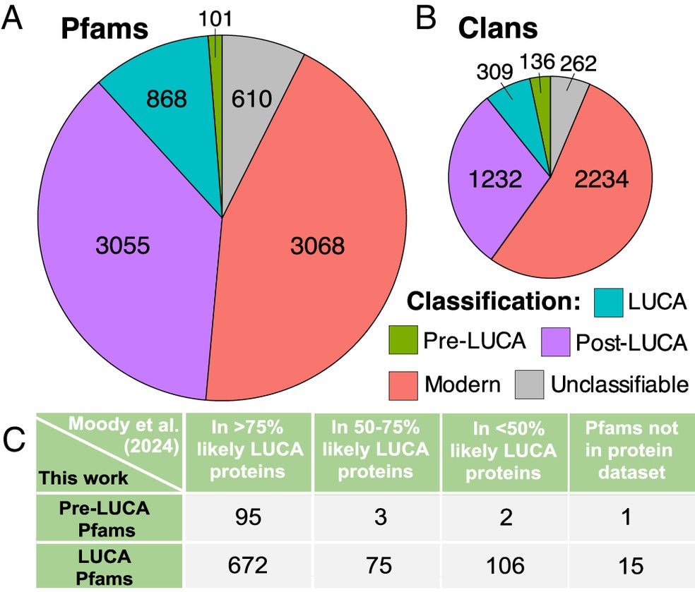 Pfams (A) and clans (B) classified as ancient are well validated by the whole gene annotations of Moody et al. 