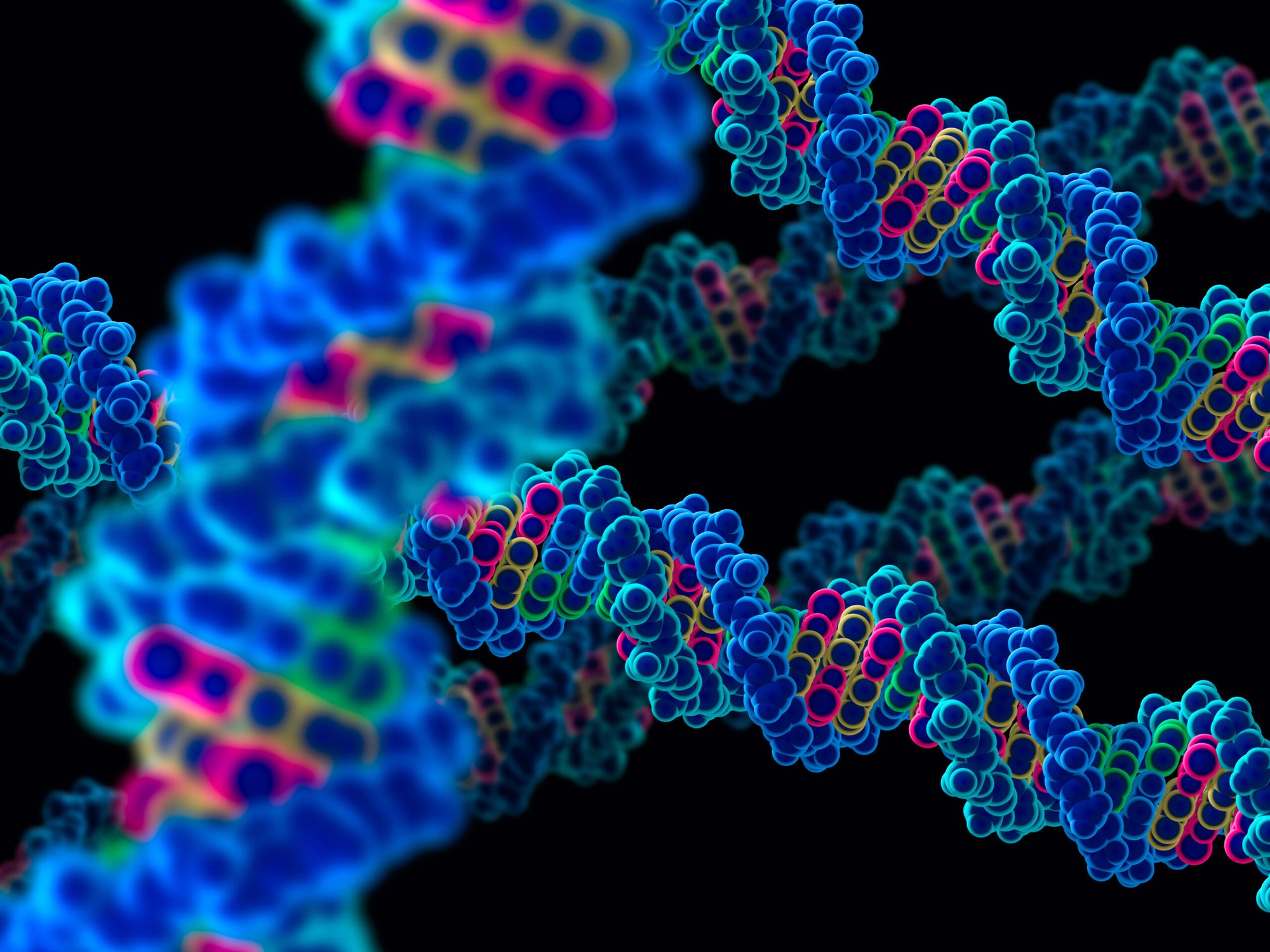 Researchers remedy the thriller of fifty,000 DNA “knots” within the human genome