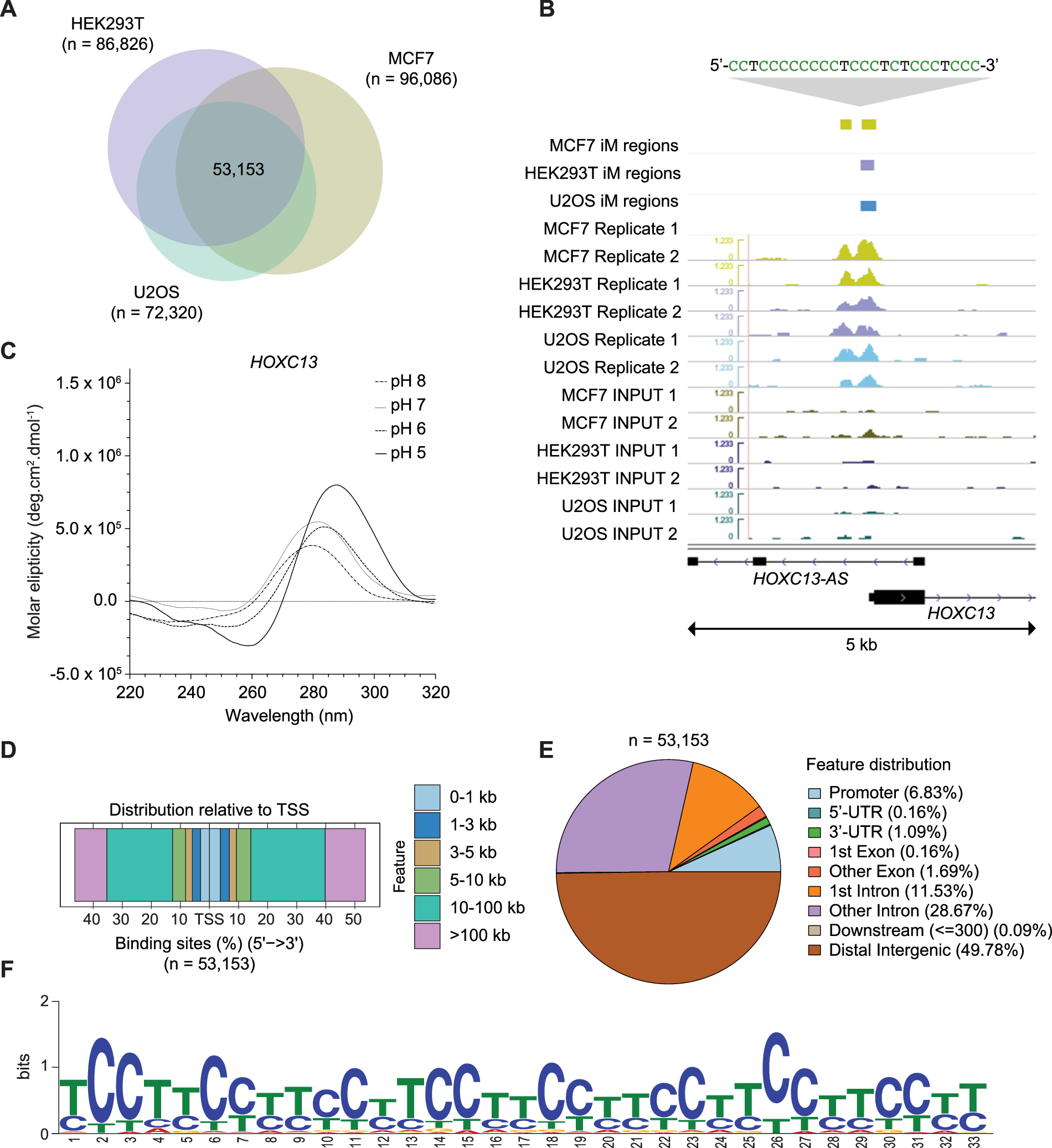 iM structures are detectable and broadly distributed across human genomic DNA.