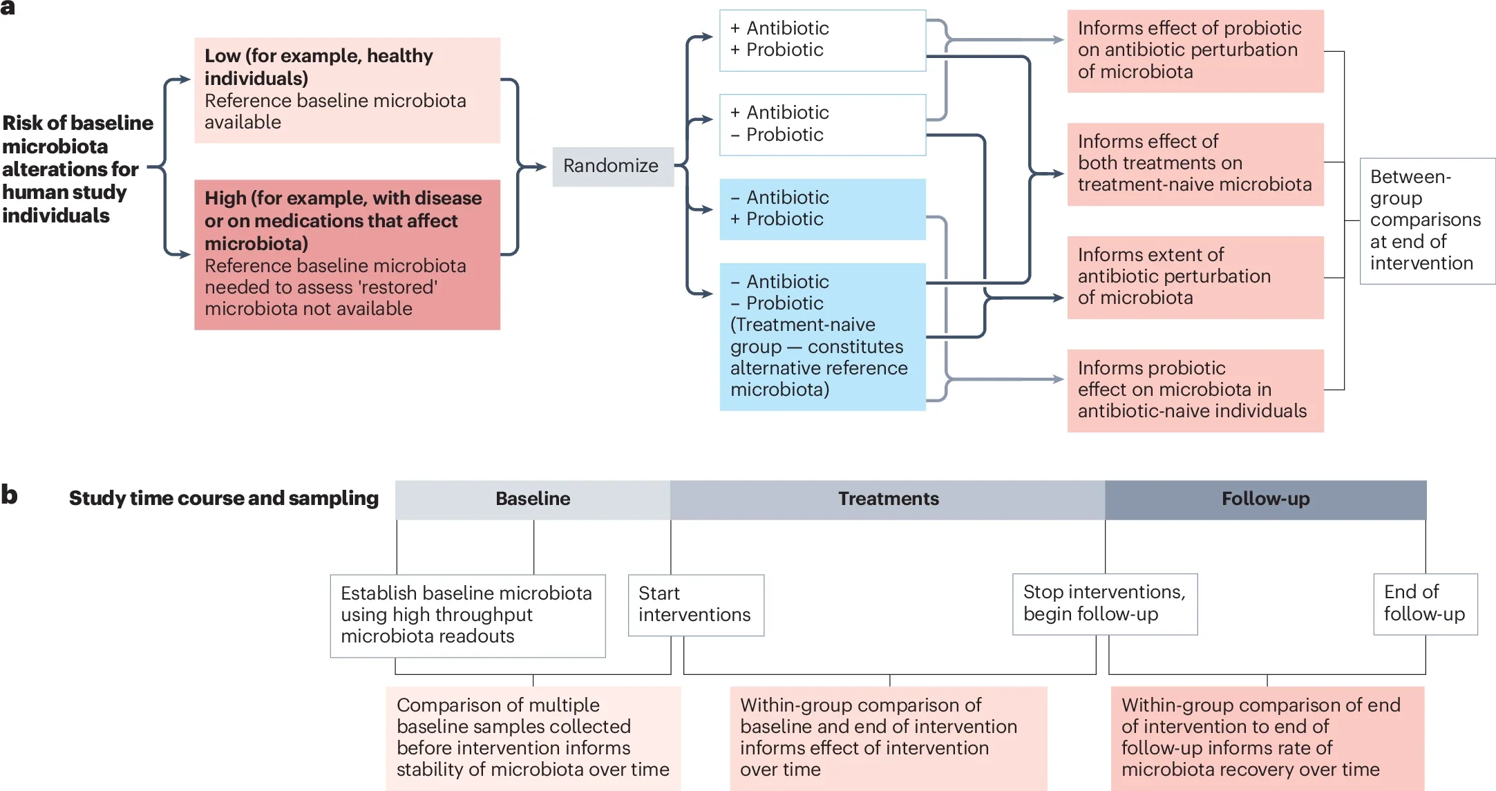 Intervention study model that could explore the potential of probiotics to mitigate antibiotic-induced perturbations of the microbiota.