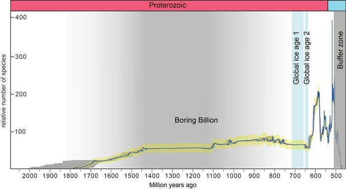 The simplified summary diagram shows the relative diversity of eukaryotic fossils throughout the Proterozoic Eon.

